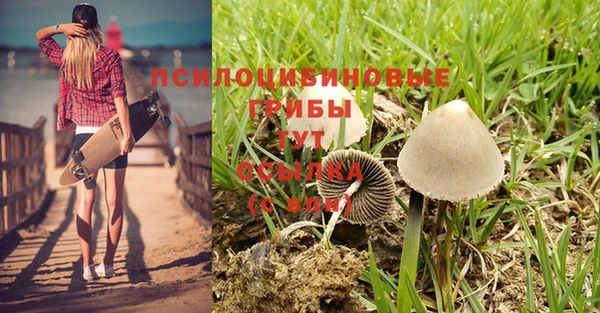 метамфетамин Богданович