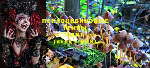 ПСИЛОЦИБИНОВЫЕ ГРИБЫ Богородицк