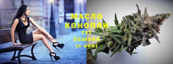 гидра Рославль