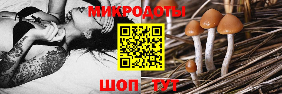 купить наркоту  Вход с VPN  Реж  Галлюциногенные грибы GOLDEN TEACHER 